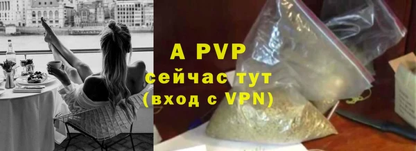 мяу мяу мука Пересвет