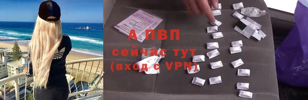 стаф Пестово