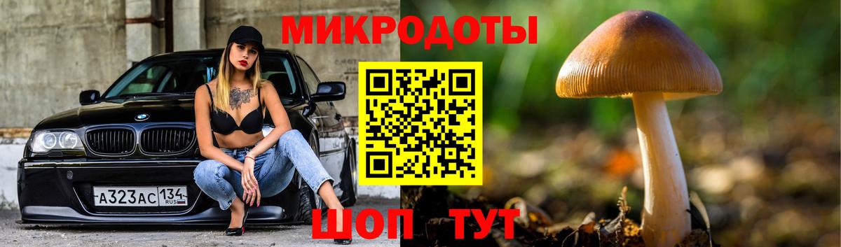 Соль-Илецк  Галлюциногенные грибы Magic Shrooms  Вход с VPN 